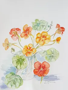 Nasturtium paint